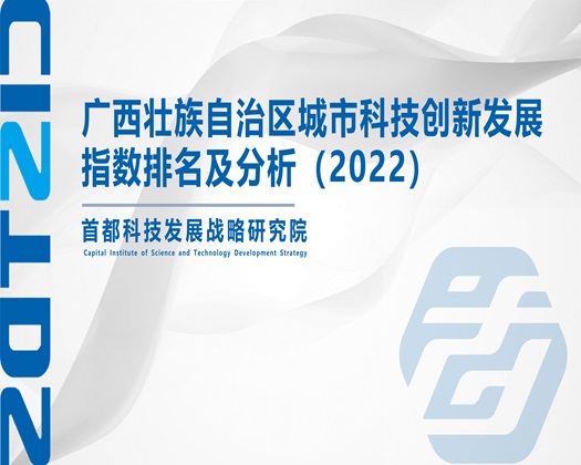 国产激情插逼【成果发布】广西壮族自治区城市科技创新发展指数排名及分析（2022）